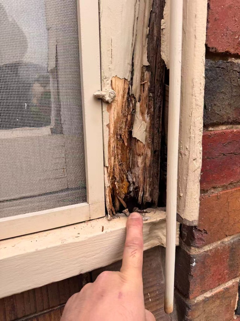 Balwyn North 1931 timber window restoration, photo 2 of 17