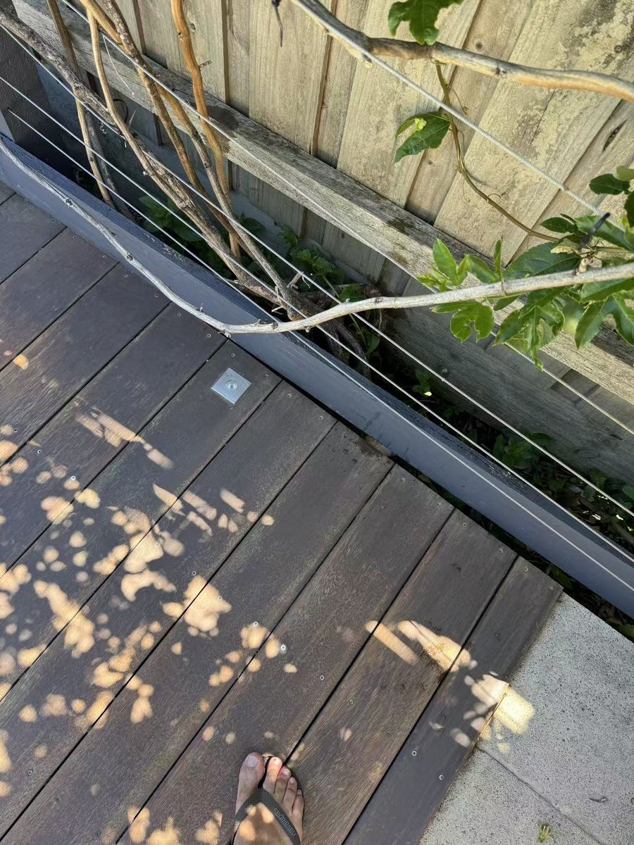 Worn, sun-bleached deck boards at the fence edge before restoration