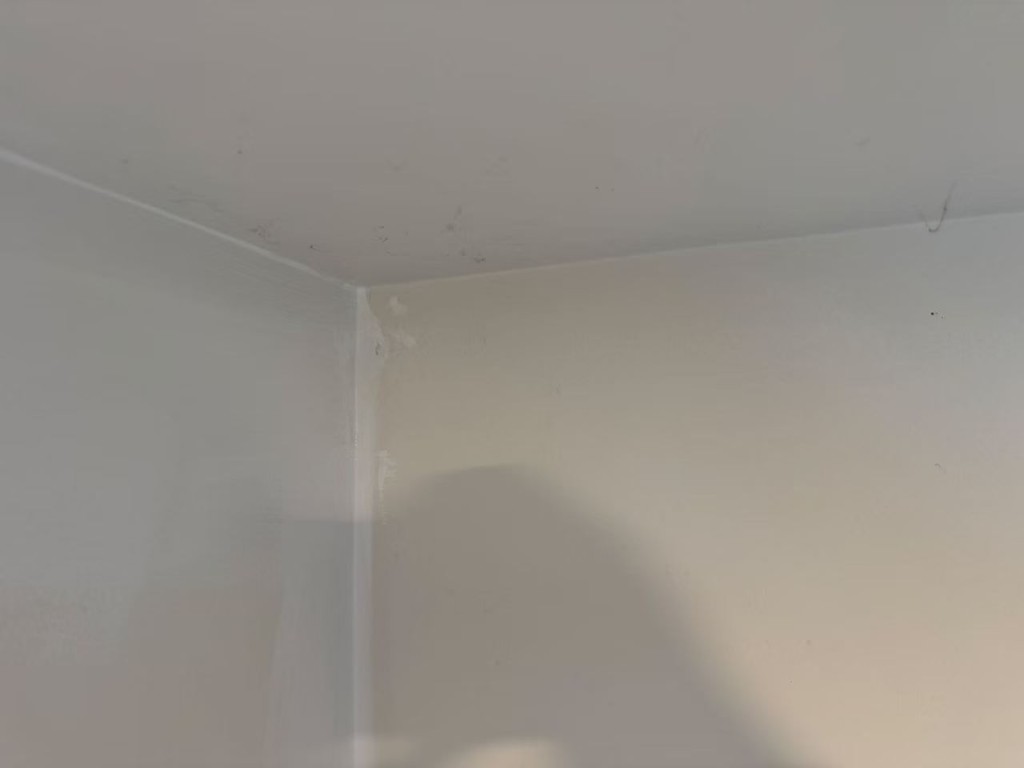 Chadstone full internal repaint — view 5