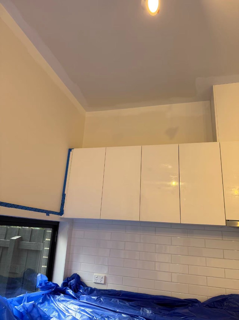 Chadstone full internal repaint — view 11
