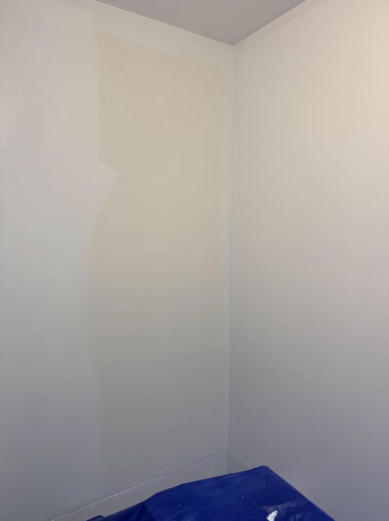 Chadstone full internal repaint — view 17
