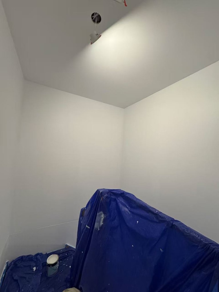 Chadstone full internal repaint — view 20