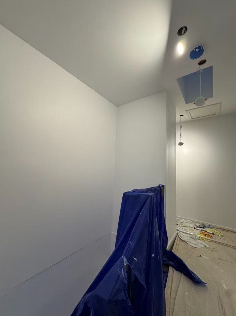 Chadstone full internal repaint — view 25