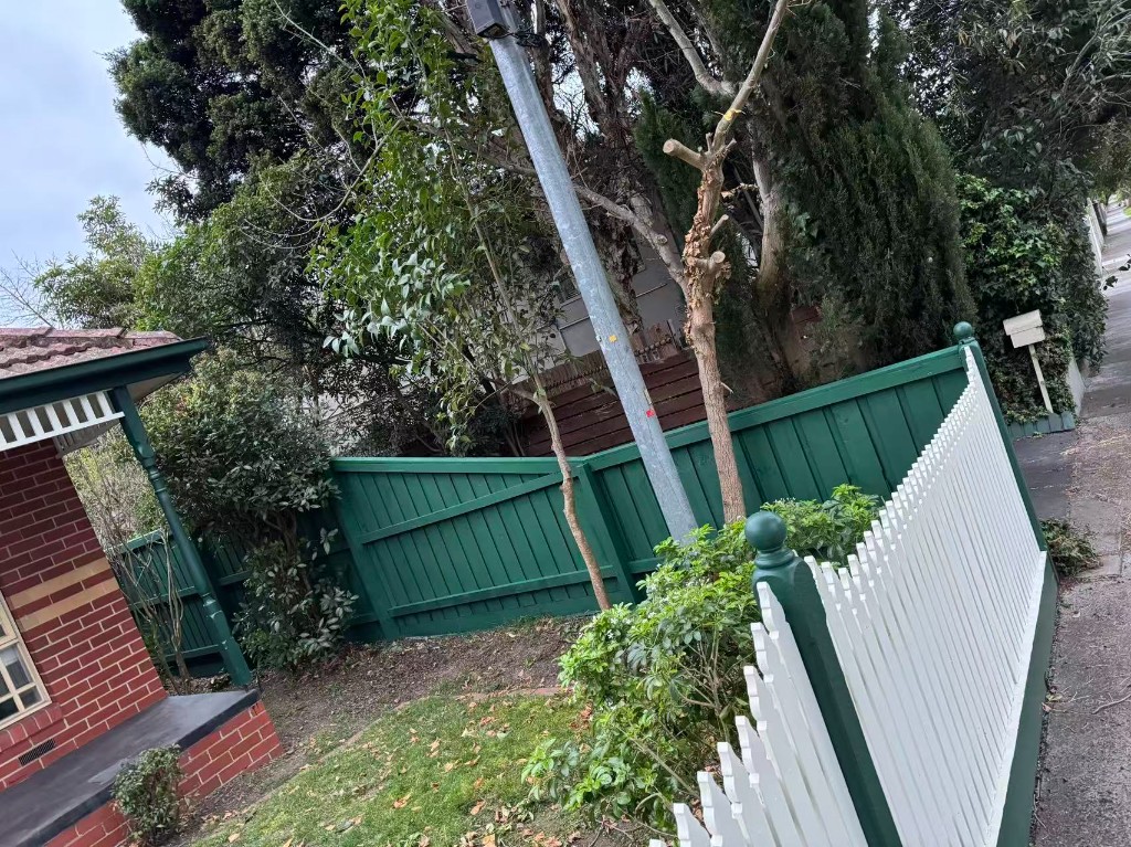Boundary fence after repaint showing cleaner uniform finish
